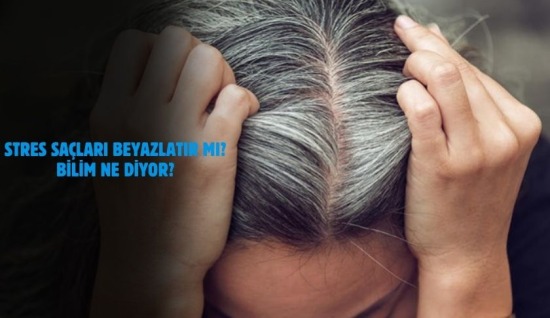 Stres Saçları Beyazlatır mı? Bilim Ne Diyor?